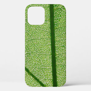Detailed Look at a Green Leaf Case-Mate iPhone Cas 12 Case