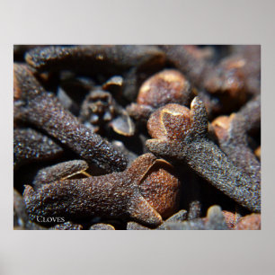 Detailed Macro View of Cloves Herb Poster