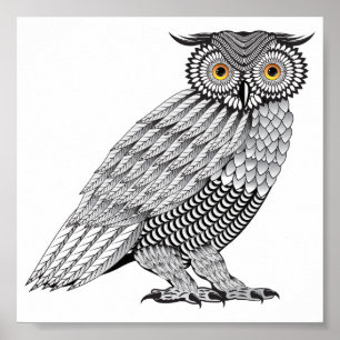 Detailed Owl illustration, vector line art Poster