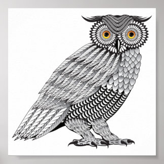 Detailed Owl illustration, vector line art Poster