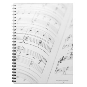 Detailed Sheet Music 3 Notebook