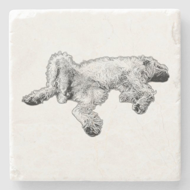 Detailed Spinone Feeling Good Coaster (Front)