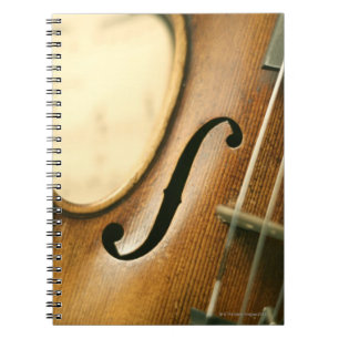 Detailed Violin Notebook