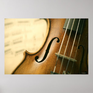 Detailed Violin Poster