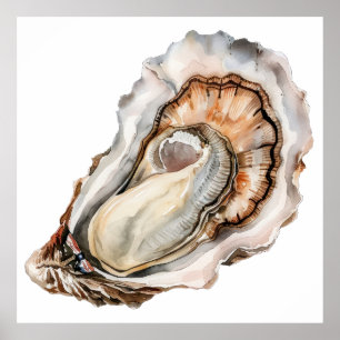 Detailed watercolor oyster illustration poster