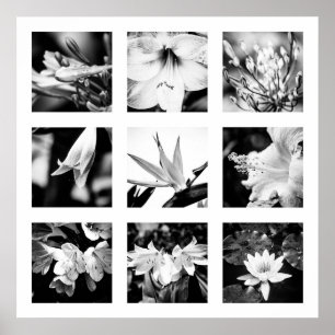 Details of Nature series - Flowers poster