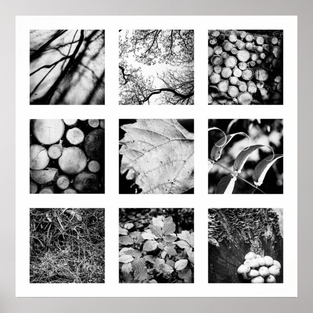 Details of Nature series - Forest poster (Front)