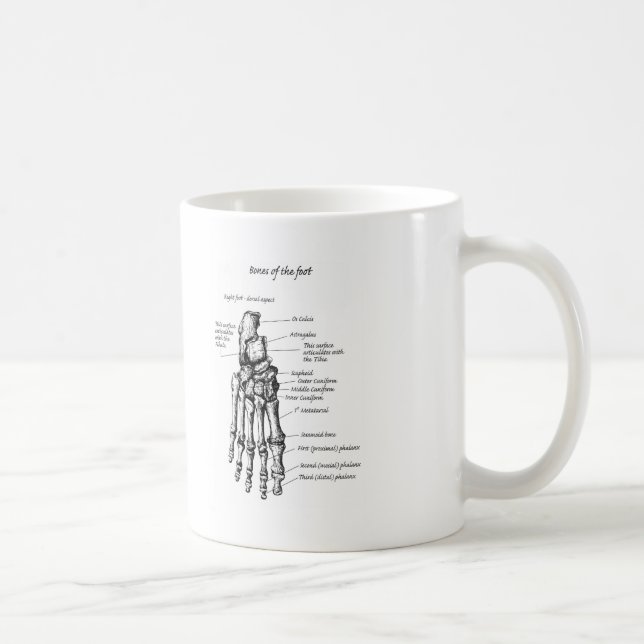 Details of the bones of the feet coffee mug (Right)