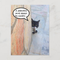 DETECTIVE CAT BEHIND THE STONE WALL / Father's Day