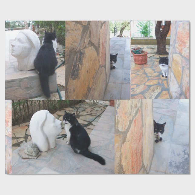 DETECTIVE CAT BEHIND THE STONE WALL WRAPPING PAPER (Flat)