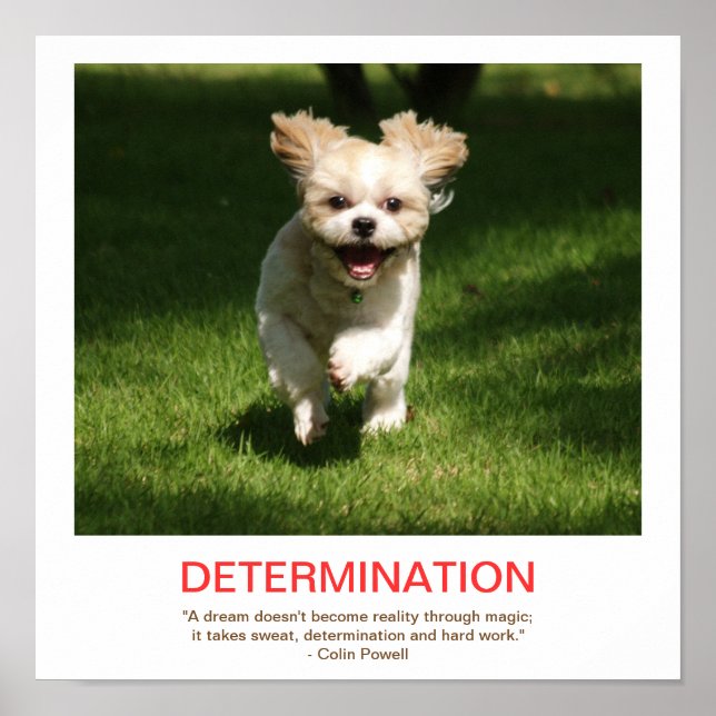 DETERMINATION demotivational poster (Front)