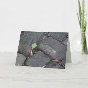 "determination" greeting card