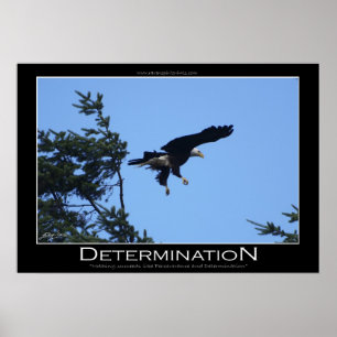 DETERMINATION ~ Motivational Poster