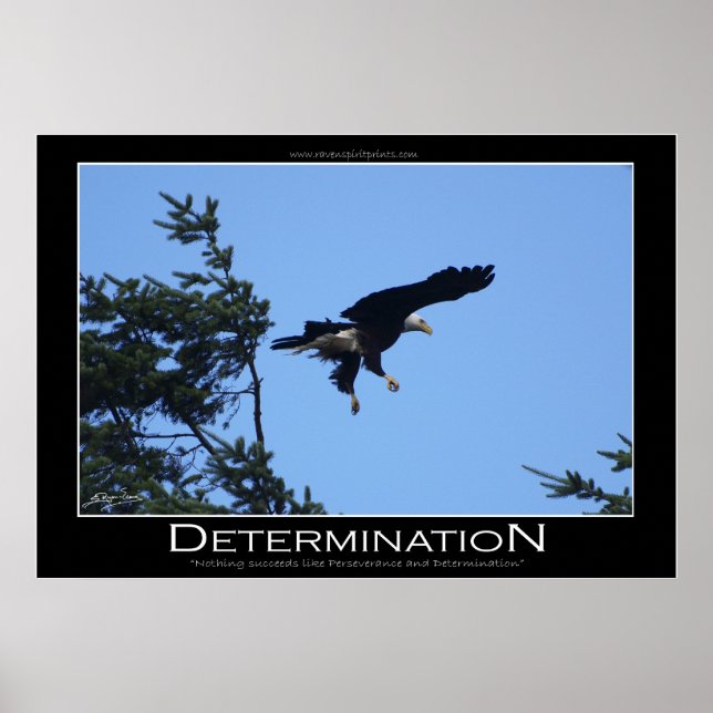 DETERMINATION ~ Motivational Poster (Front)