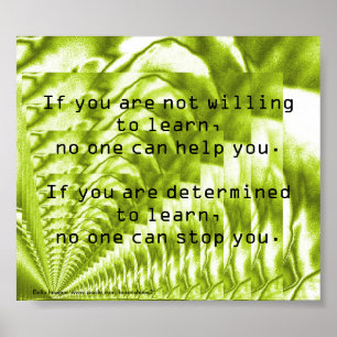 Determination - poster