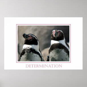 Determination Poster