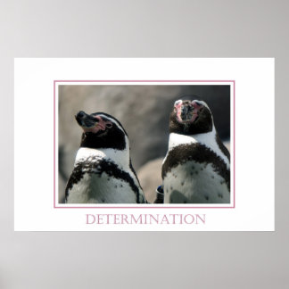 Determination Poster