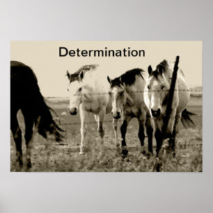 Determination Poster