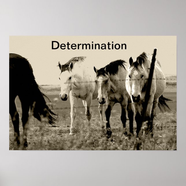 Determination Poster (Front)