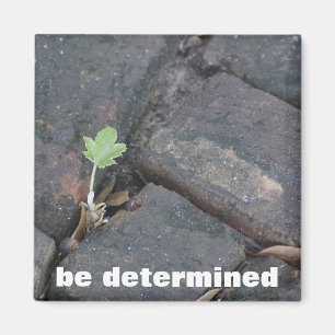 "determination" refrigerator magnet