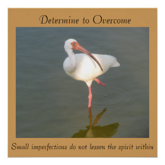 Determine To Overcome - 20"x 20" Poster