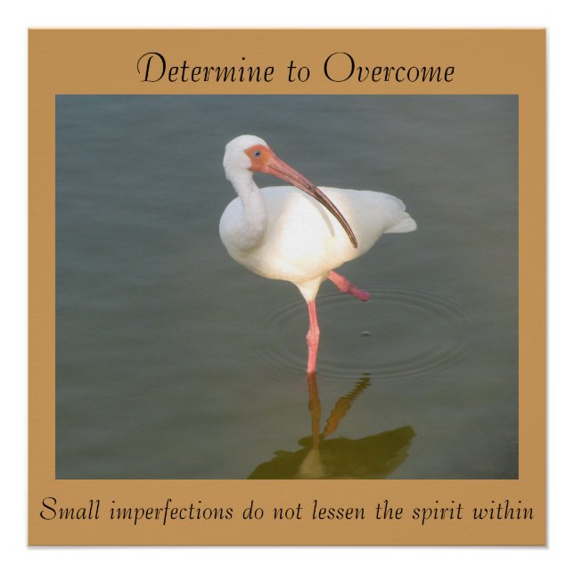 Determine To Overcome - 20"x 20" Poster (Front)