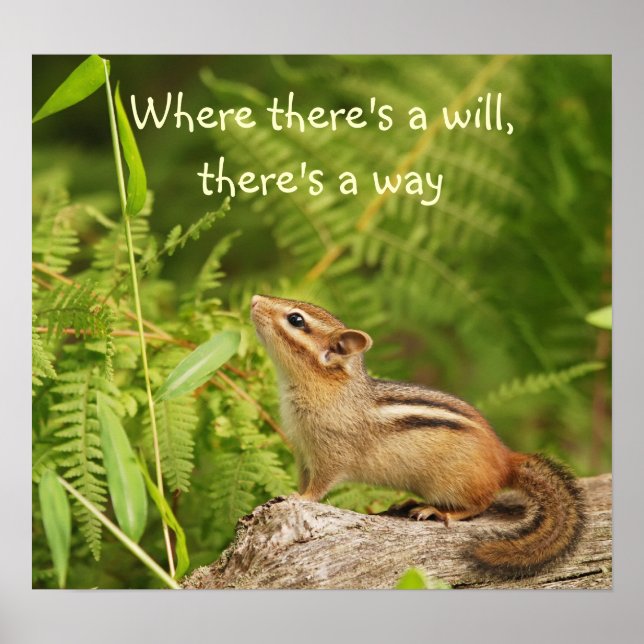 Determined Baby Chipmunk Poster (Front)