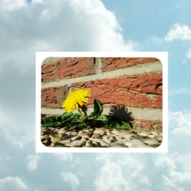 Determined Dandelion Magnet (Creator Uploaded)