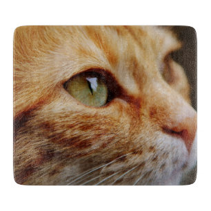 Determined Face of a Ginger Cat Cutting Board