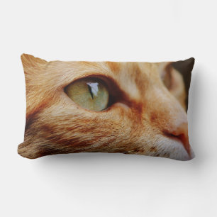 Determined Face of a Ginger Cat Lumbar Cushion