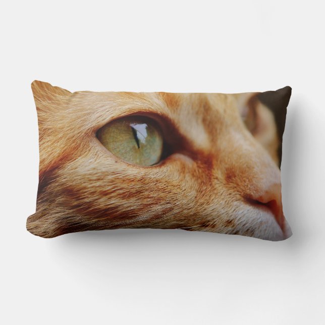Determined Face of a Ginger Cat Lumbar Cushion (Front)