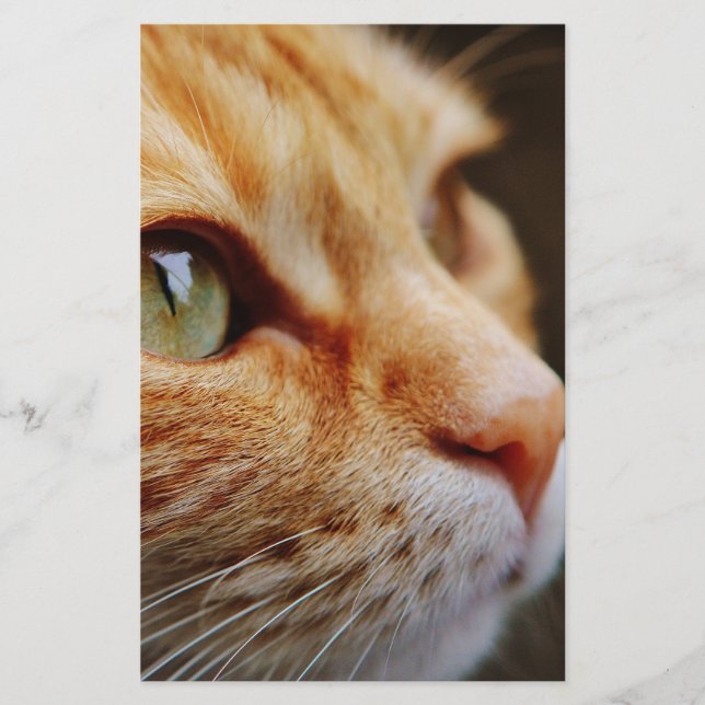 Determined Face of a Ginger Cat Stationery (Front)