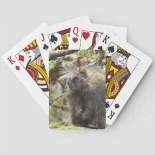 Determined Porcupine Playing Cards