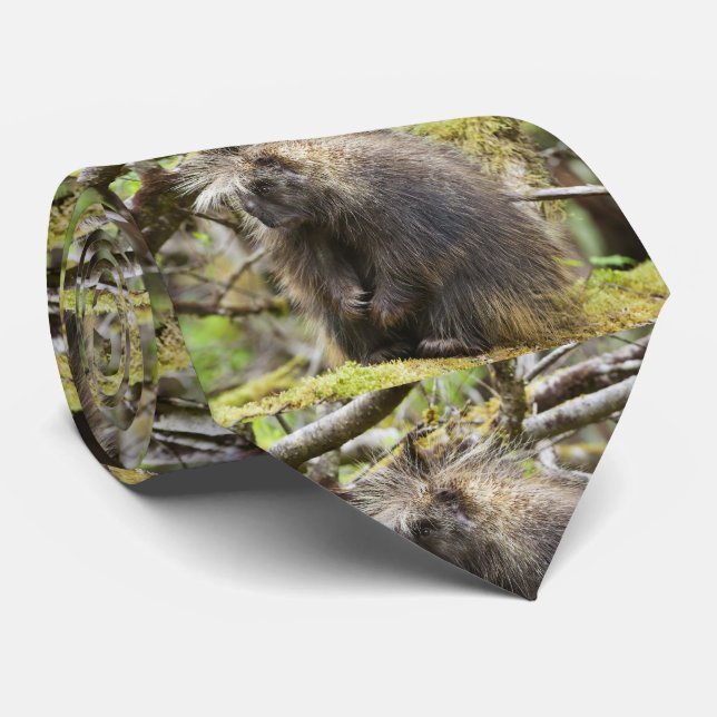 Determined Porcupine Tie (Rolled)