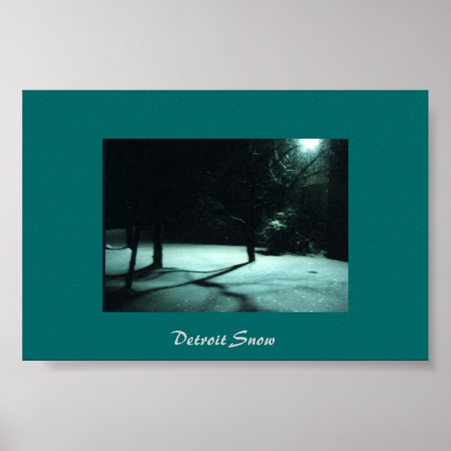 Detroit Snow Poster (Front)