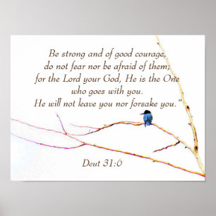 Deut 31:6 You are Not Alone Bible Kingfisher Bird  Poster