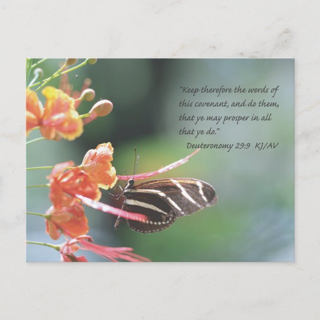 Deuteronomy 29:9 Scripture Postcard (Front)