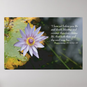 Deuteronomy 30:19 Scripture Print