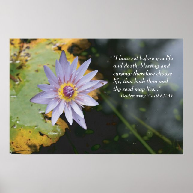 Deuteronomy 30:19 Scripture Print (Front)