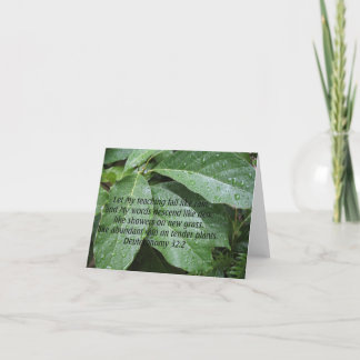 Deuteronomy 32:2 card