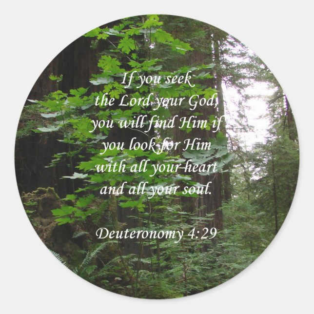 Deuteronomy 4:29 ~ Seek the Lord Classic Round Sticker (Front)