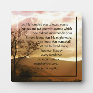 Deuteronomy 8:3 plaque