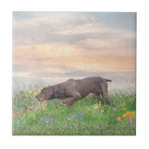 Deutsch Drahthaar Ceramic Tile