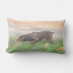 Deutsch Drahthaar   Lumbar Cushion