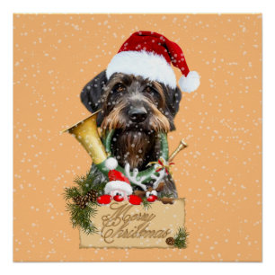 Deutsch Drahthaar, Merry Christmas! Magnet Button  Poster