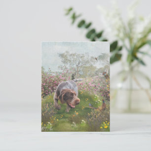 Deutsch Drahthaar   Postcard