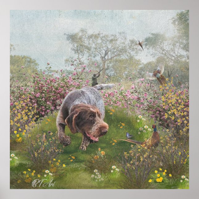 Deutsch Drahthaar     Poster (Front)