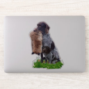 Deutsch Drahthaar Sticker