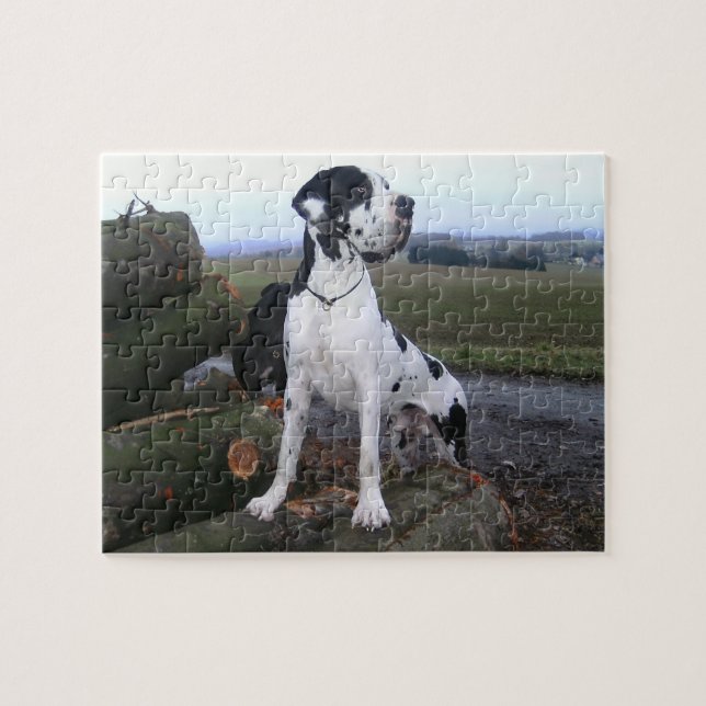 Deutsche Dogge, Great Dane, Dogs, Dogue Allemand Jigsaw Puzzle (Horizontal)