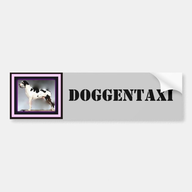 Deutsche Dogge, Great Dane, Harlekin, Taxi, Sticke Bumper Sticker (Front)